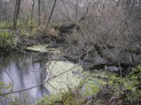 IMGP0567.JPG