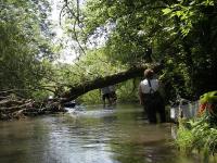 SugarRiver_2005_5.jpg
