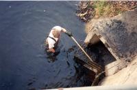 Wingra_Creek_1.jpg