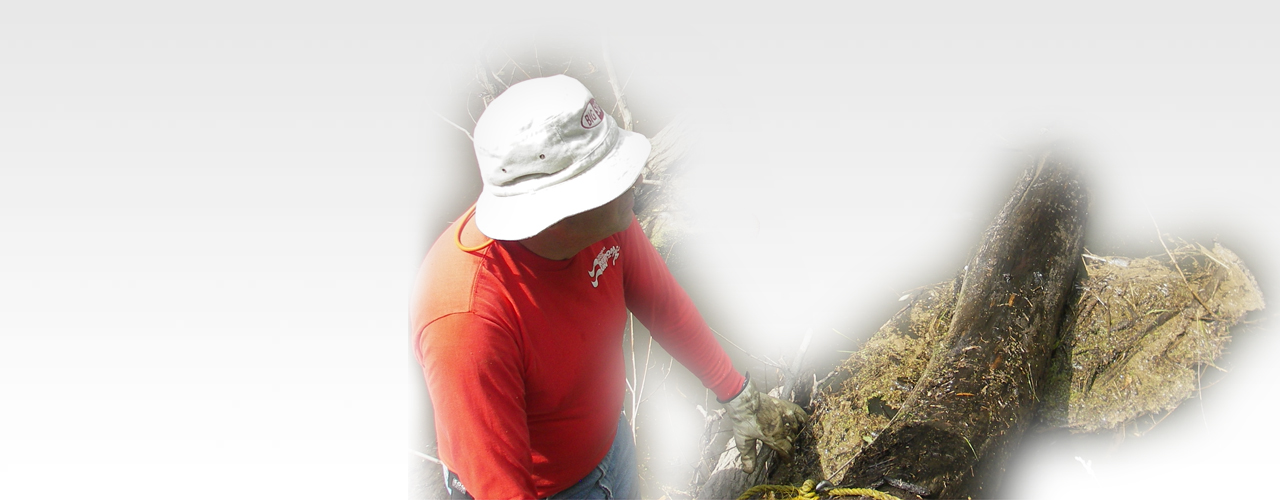 Capitol Water Trails activity