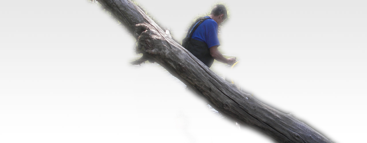 Capitol Water Trails activity