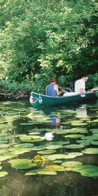 Wingra Creek - Take a Stake in the Lakes 2005